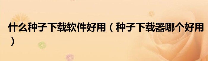 什么种子下载软件好用（种子下载器哪个好用）