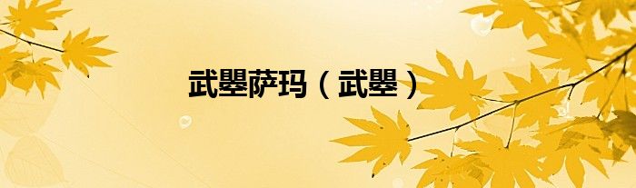武瞾萨玛（武瞾）