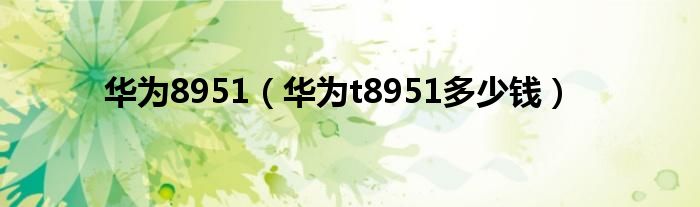 华为8951（华为t8951多少钱）