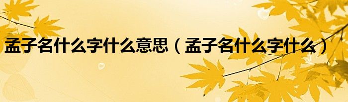 孟子名什么字什么意思（孟子名什么字什么）