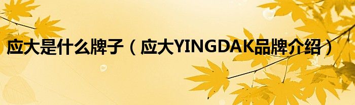 应大是什么牌子（应大YINGDAK品牌介绍）
