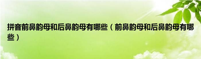 拼音前鼻韵母和后鼻韵母有哪些（前鼻韵母和后鼻韵母有哪些）