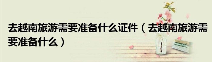 去越南旅游需要准备什么证件（去越南旅游需要准备什么）