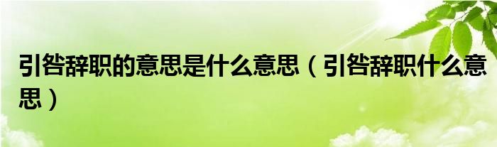 引咎辞职的意思是什么意思（引咎辞职什么意思）