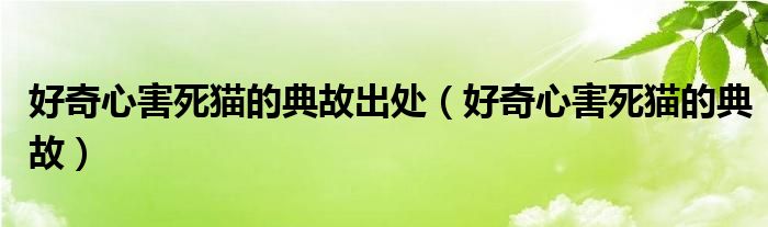 好奇心害死猫的典故出处（好奇心害死猫的典故）