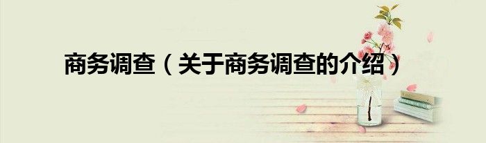 商务调查（关于商务调查的介绍）