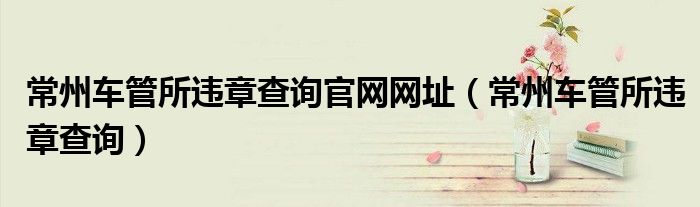 常州车管所违章查询官网网址（常州车管所违章查询）