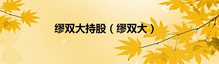 缪双大持股（缪双大）