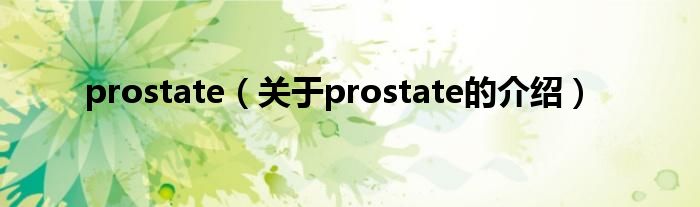 prostate（关于prostate的介绍）