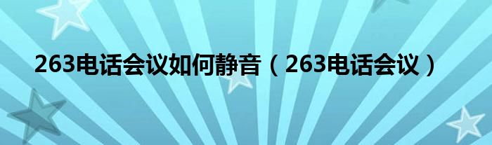 263电话会议如何静音（263电话会议）