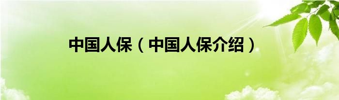 中国人保（中国人保介绍）