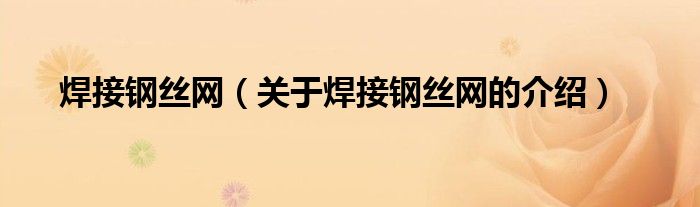 焊接钢丝网（关于焊接钢丝网的介绍）