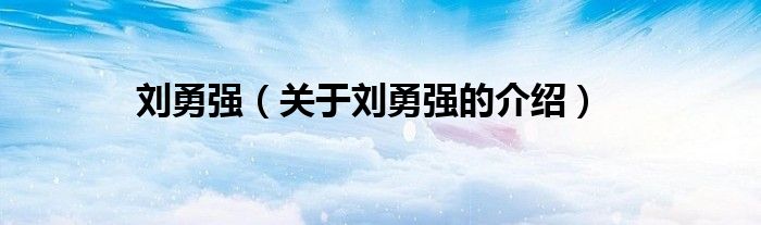刘勇强（关于刘勇强的介绍）