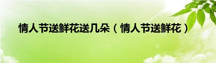 情人节送鲜花送几朵（情人节送鲜花）