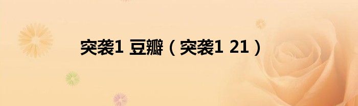 突袭1 豆瓣（突袭1 21）