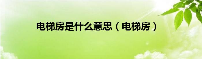 电梯房是什么意思（电梯房）