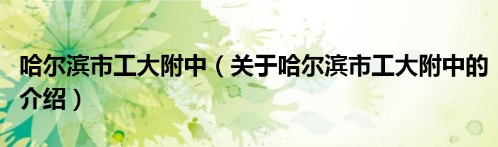 哈尔滨市工大附中（关于哈尔滨市工大附中的介绍）