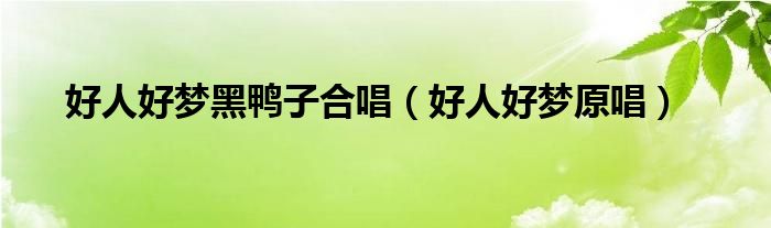 好人好梦黑鸭子合唱（好人好梦原唱）