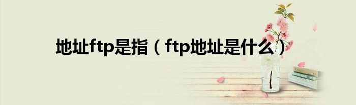 地址ftp是指（ftp地址是什么）