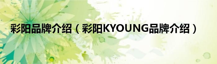 彩阳品牌介绍（彩阳KYOUNG品牌介绍）