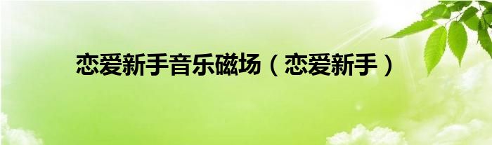 恋爱新手音乐磁场（恋爱新手）